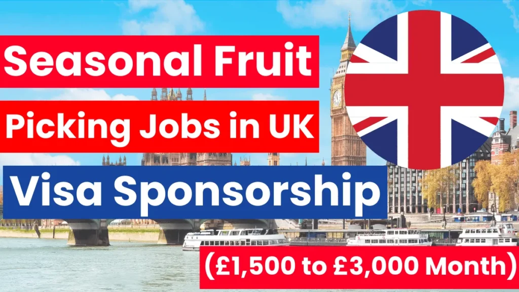 Seasonal Fruit Picking Jobs in UK with Visa Sponsorship 2025 (£1,500 to £3,000 Per Month)